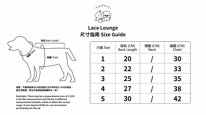 Lace Lounge （Purple） - Luxfurry