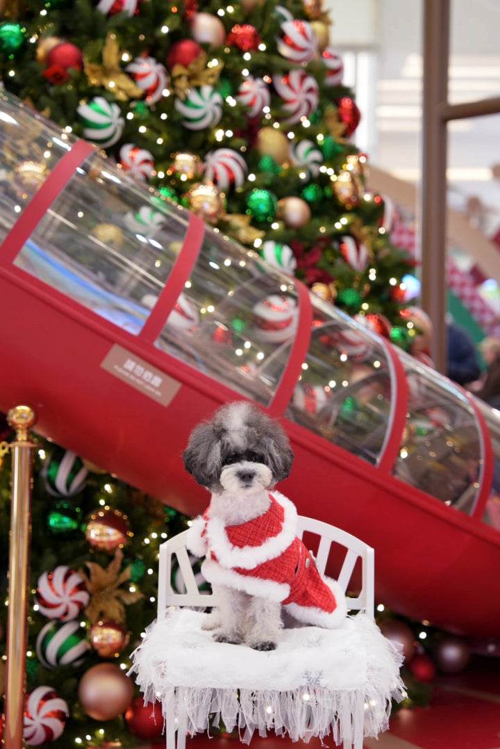 Snowy雙面打卡墊 - Luxfurry