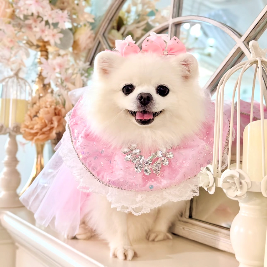 Celeste（pink）長紗可拆