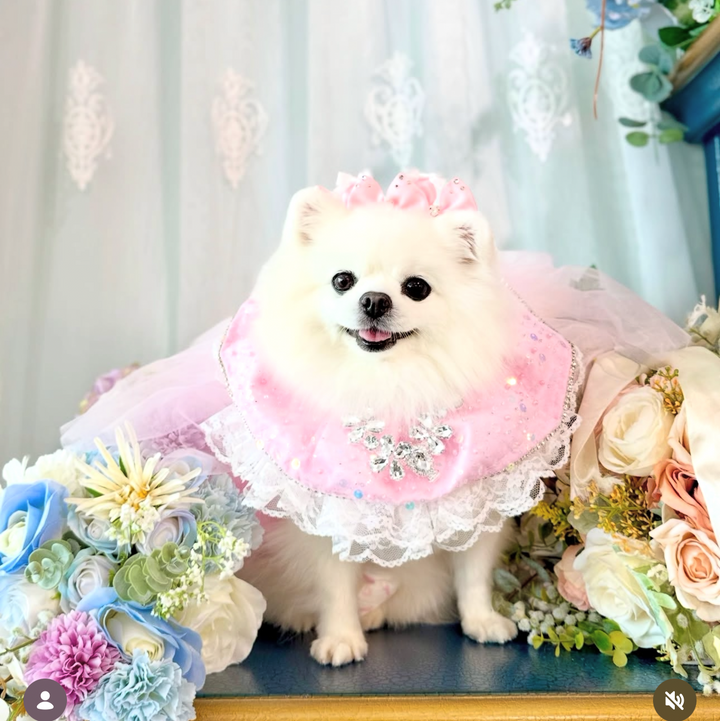 Celeste（pink）長紗可拆