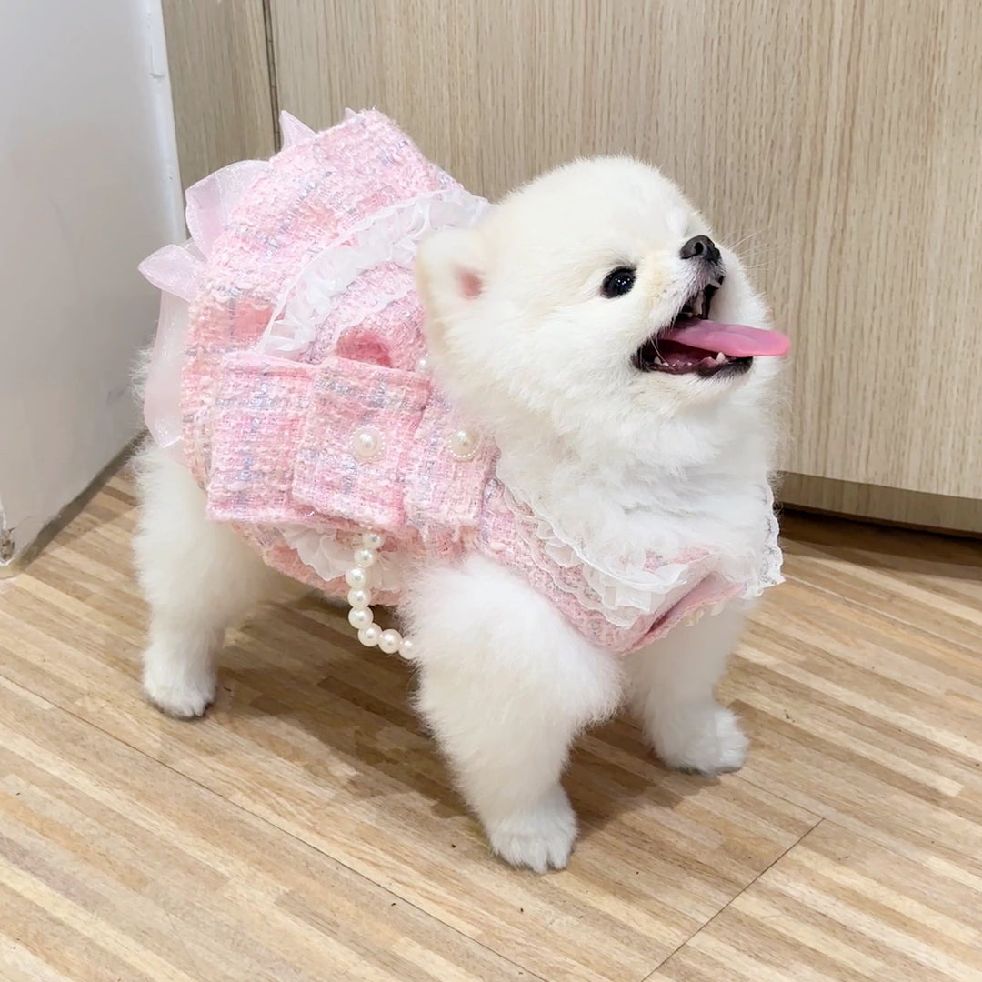 My Wednesday Pink (Dress) - Luxfurry