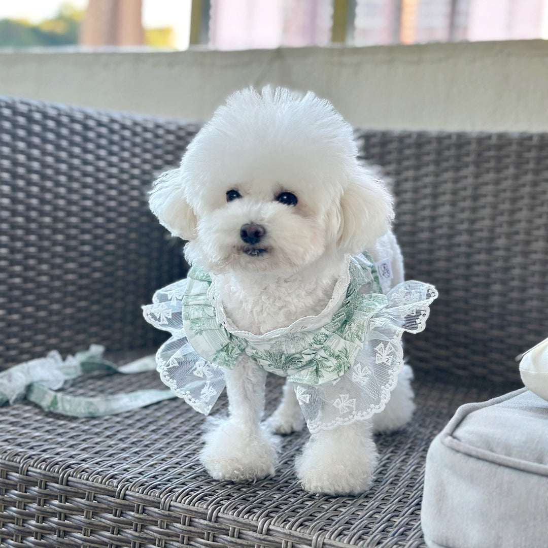 Jouy Harness+Leash (Green) - Luxfurry